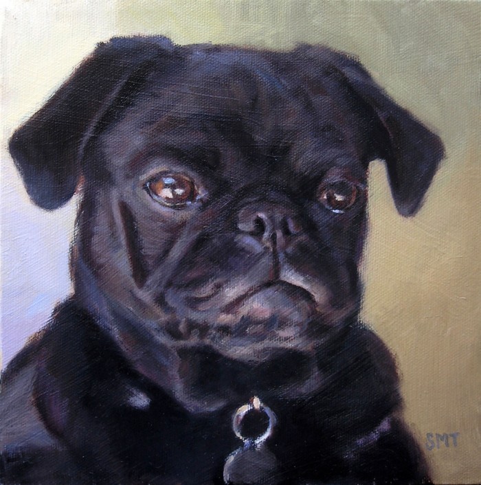 Quincy 8 x 8 inches oil on canvas private collection